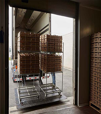 Opallex international