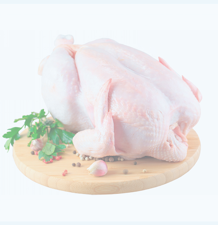Halal Frozen Chicken