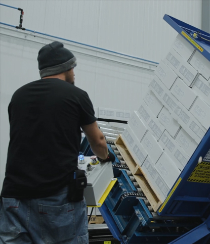 Operator loading boxed cartons onto a pallet conveyor in a packing warehouse