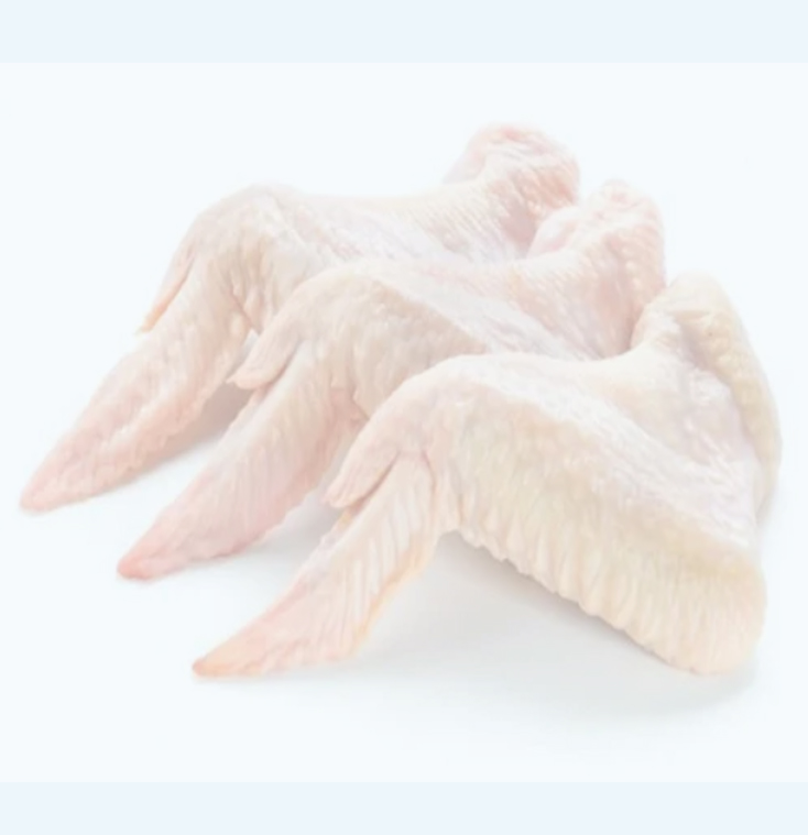 Raw chicken wings product presentation