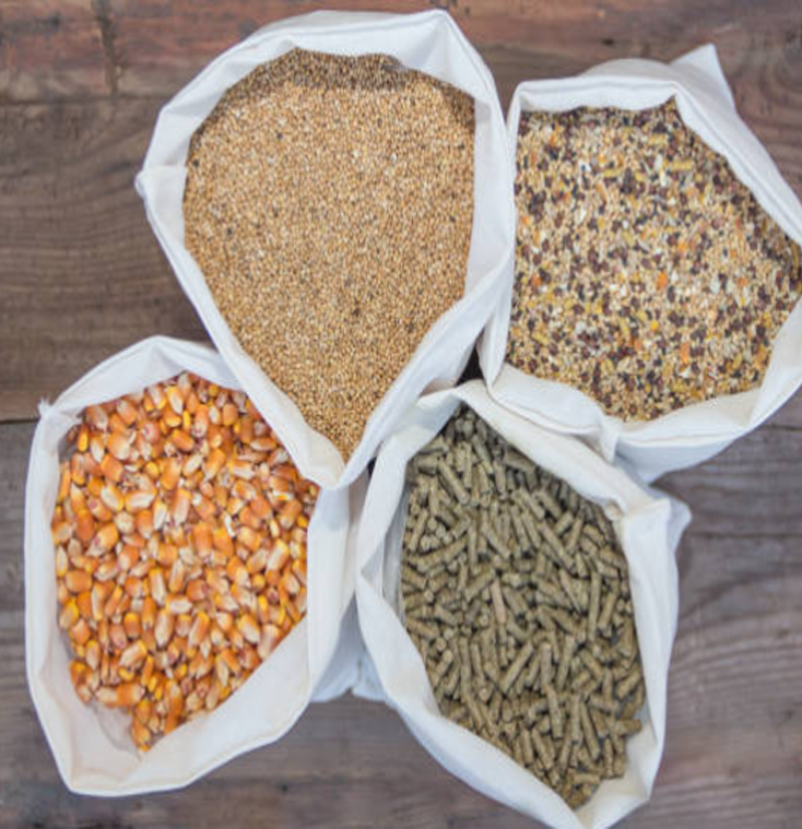 Poultry Feed Supplier